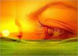 meditar es vivir