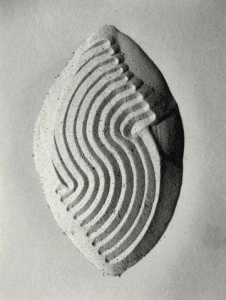 Still-Life Of Patterns In Sand