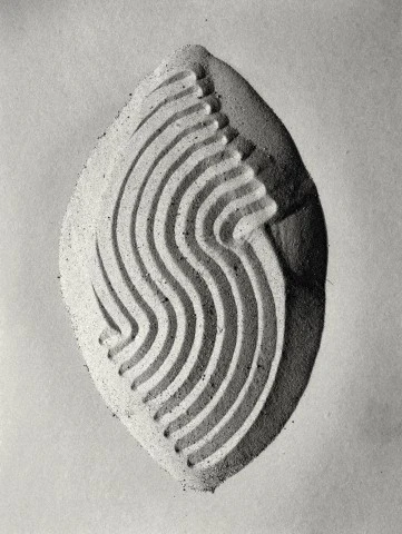 Still-Life Of Patterns In Sand