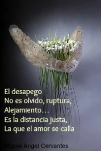 poemadesapego