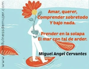 amarse4