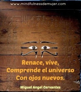 renacer8