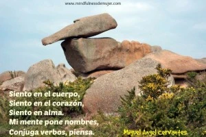Pensar SENTIR