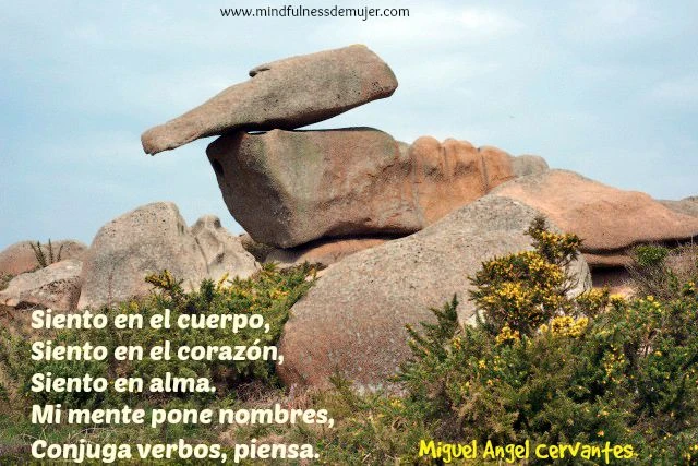 Pensar SENTIR