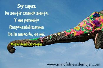 SENTIR sentimiento
