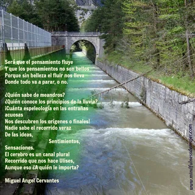pensamiento fluye