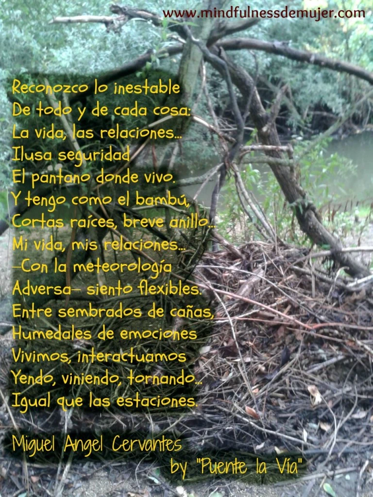 de lo inestable